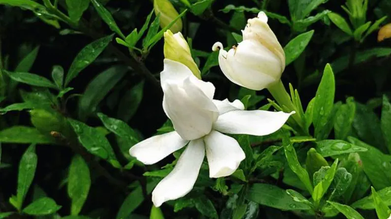 1719192746895878.png ͼƬ2.png