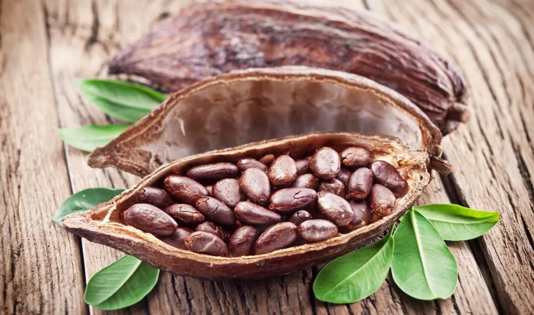 1722300303133880.png ͼƬ9.png