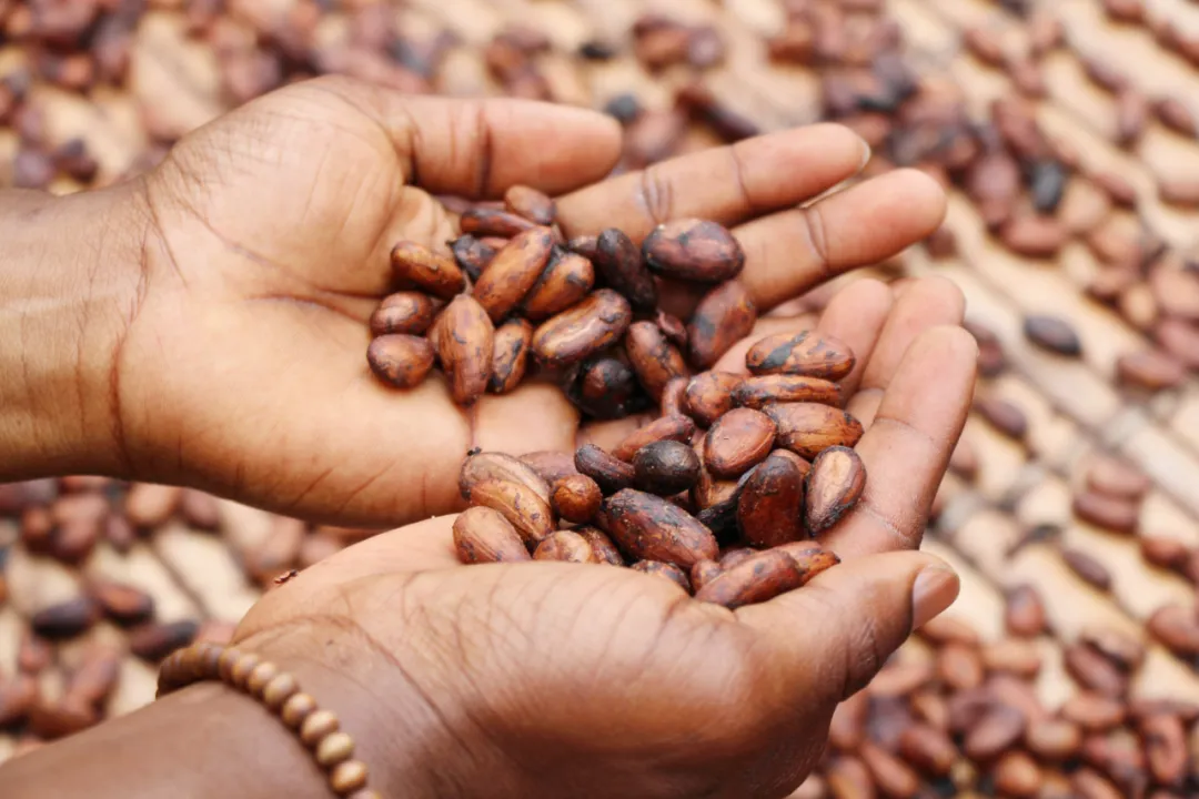 1722300338205390.png ͼƬ10.png