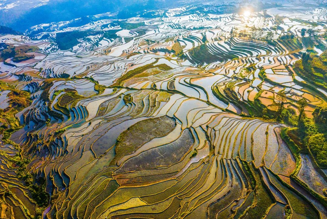 1724377915122640.jpg ΢ÐÅͼƬ_20240812131836.jpg