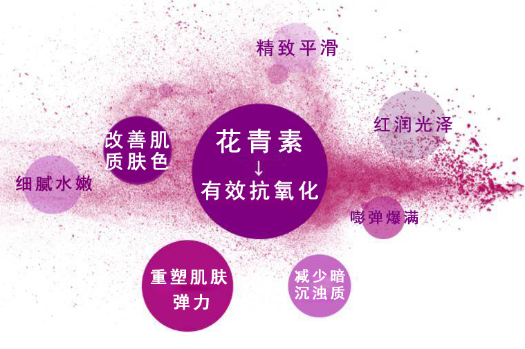 1741741651140034.jpeg 20210525163554_0e2042693b36fb90a0e72445f1d1c82b_1.jpeg