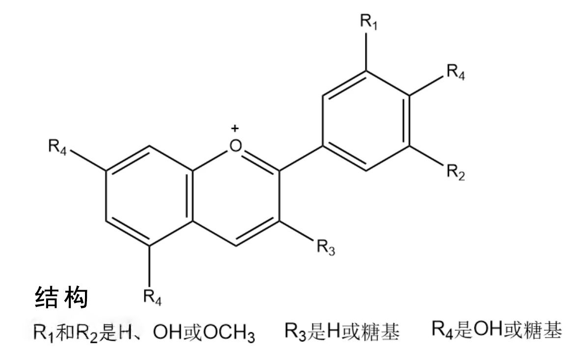 1741741676138893.jpg ΢ÐÅͼƬ_20250219162357.jpg