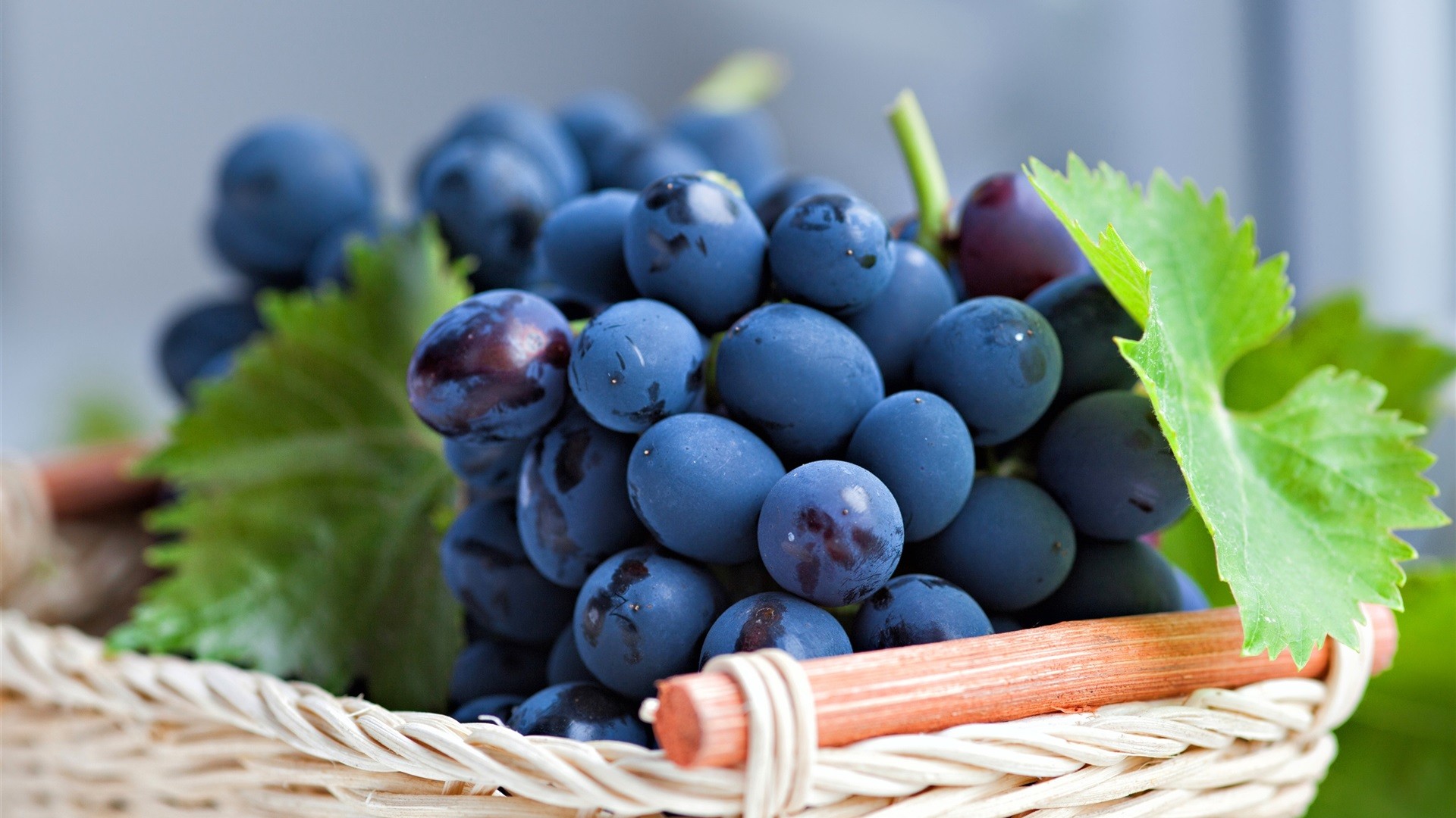 1741741712970667.jpg ΢ÐÅͼƬ_20250219095216.jpg