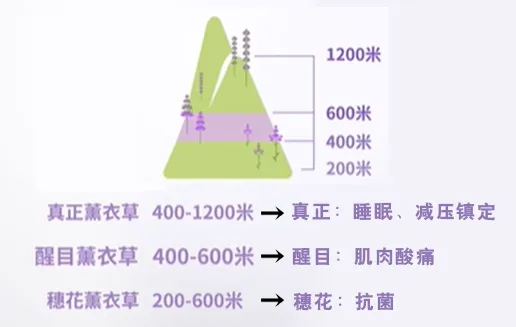 1747270204488884.jpg ΢ÐÅͼƬ_20250515084746.jpg